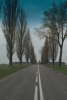 DSCF4945.jpg