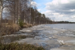 DSCF5296.jpg