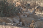 DSCF6233.jpg