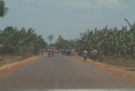 Pedestrians Everywhere