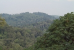 The beautiful Nyungwe Forest was teeming with soldiers